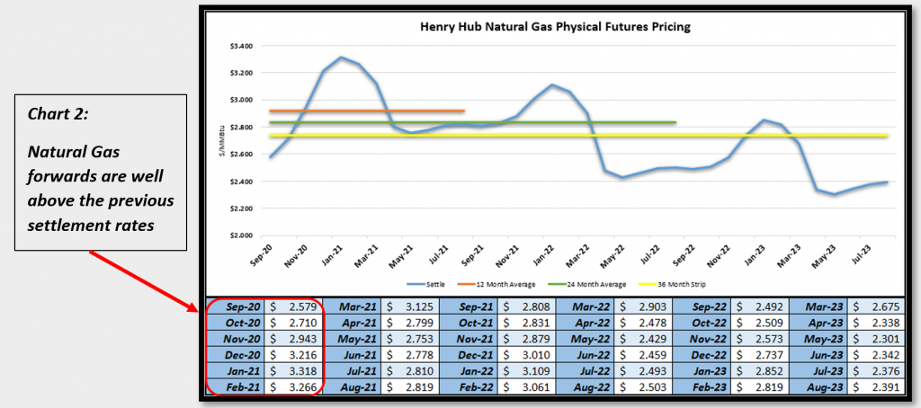 Henry Hub Natural Gas Physical Futures Pricing