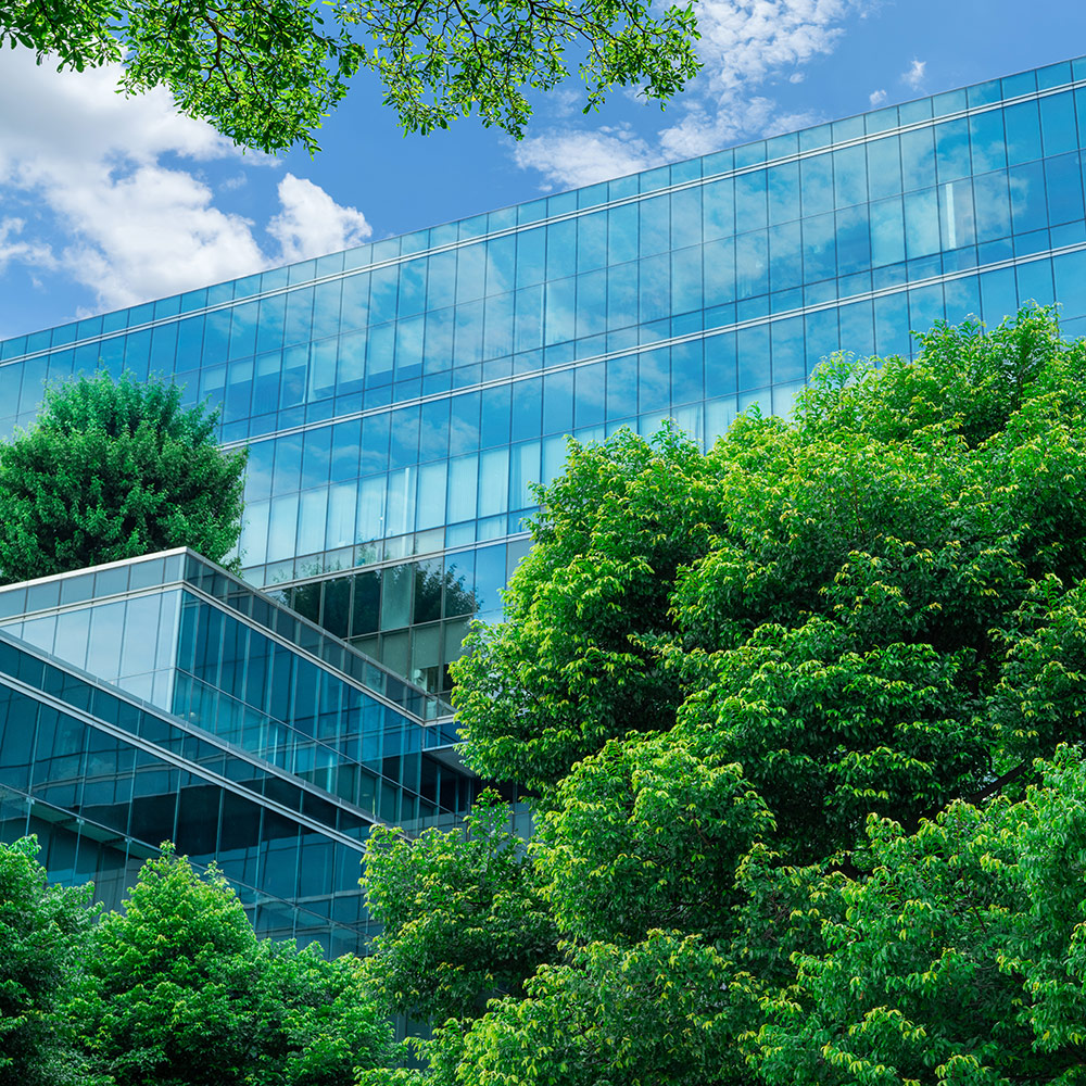 A big glass building surrounded by big trees